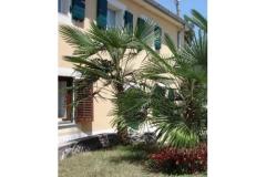 Apartmeni Gobac Appartement 3 – MALI foto 1