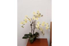 Vila Vida Orebić Appartement 1 – NARANČA foto 4