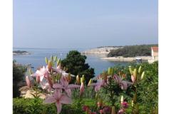 Appartements Zeljka Appartement 1 – A foto 4