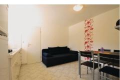 Appartements Petrović Appartement 2 – Apartman 3 foto 1