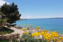 Stargo Appartements Appartement 1 – Yellow foto 3