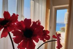 Stargo Appartements Appartement 2 – Blue foto 2