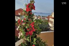 Appartements Iva Appartement 3 – App 7+1 foto 2