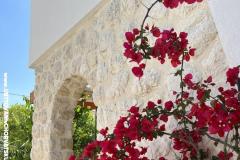 Appartements Ksenija Appartement 4 – LEMONE foto 4