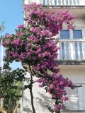 Appartements Lana Pirovac Appartement 2 – A2 foto 5
