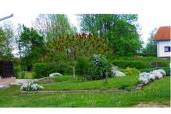 Blazenka Hodak Appartement 1 – APP 1 foto 3