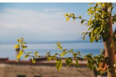 Appartements Fluctus TA Appartement 3 – A2+2 P foto 2