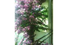 Appartements Kelava Željko Appartement 4 – 2 foto 5