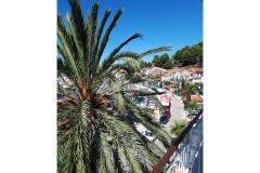 Palm tree apartman Appartement 2 – Palma foto 1