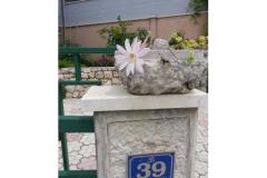 Rako Appartements Marilka Appartement 3 – APARTMAN 2 foto 1