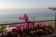 Appartements Jure Appartement 2 – apartman1 foto 1