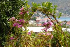 Appartements  ToJo Appartement 3 – A3 foto 2