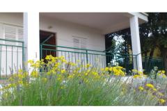 Appartements vila Diana Appartement 1 – apartman M foto 2