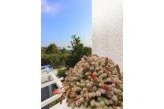 Appartements Gordana Appartement 1 – Novi foto 3