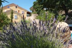 Appartements Dumičić Appartement 3 – A6 donji foto 3