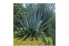 Vila Ana Appartement 1 foto 3