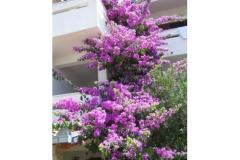 Appartements Ražanj (Appartements Soldić) Appartement 2 – A3 foto 4