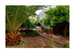 Appartements Vesna Appartement 1 – roga foto 4