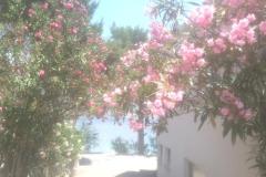 Maison de vacances Milenka Appartement 2 – apartman foto 3