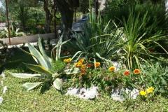 Santa Chiara Appartements Appartement 4 – apartman 4 foto 5