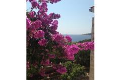 Vesna apartmani Appartement 2 – A2 foto 1