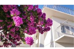 Appartement Mare Appartement 1 – Mare foto 1