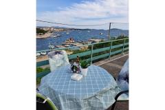 Beach Maison Appartement 2 – FIRST foto 1