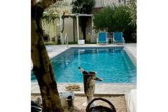 Villa Dube Slano/ villa avec piscine Appartement 4 – studio foto 1