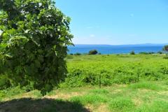 Summerhouse Belomo Appartement 1 – Belomo foto 3