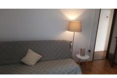 Appartements Dana Appartement 3 – APARTMENT foto 4