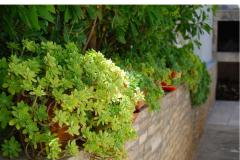 Appartements Darija Appartement 1 – Apartman 1 foto 4