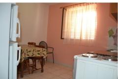 Appartements Fedor Appartement 1 – Ap2 foto 4