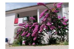 Appartements Ive Chambre 5 – br5 foto 4