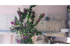 Appartements Šošo Appartement 2 – Apartman 3 foto 4