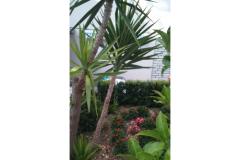 Appartements Jauca Appartement 3 foto 1