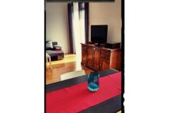 Lu-Do Appartements Appartement 1 – One foto 5