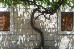 Stara kuća Appartement 1 – Stara kuća foto 2