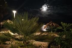Villa Kairos Chambre 7 – TR-301 foto 1