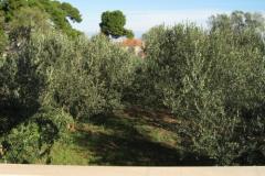 Appartements Ante Appartement 1 – A1 foto 5