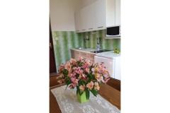 Appartements Branko Vidaković Appartement 4 – Apartman 4 foto 4