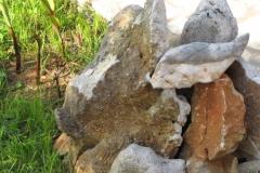 Appartements ENA Appartement 1 – A2 foto 4