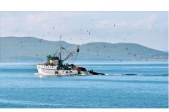 Zdenko Lukin Appartement 2 – Apartman 9 foto 3