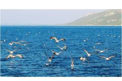 Zdenko Lukin Appartement 2 – Apartman 9 foto 4