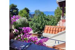 Appartements Delfin Appartement 1 – 1.kat foto 1