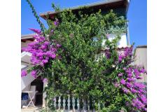 Appartements Delfin Appartement 2 – prizemlje foto 1