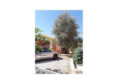 Appartements Marija Appartement 2 – Marija2 foto 2