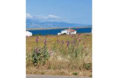 Appartements Mišković Appartement 1 foto 1