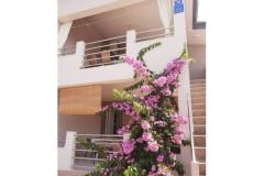 Appartements Maja Appartement 1 – A2 foto 1