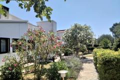 Appartements Budija / Lavanda Appartement 1 – Lavanda 1 foto 2