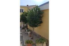 Ferienanlage Villa Ljiljana Appartement 2 – Bungalow foto 2